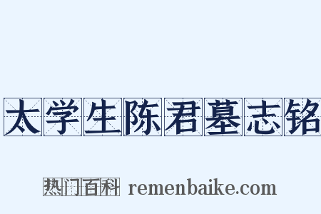 太学生陈君墓志铭是什么意思的图片